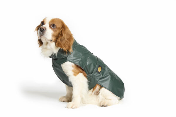 Fashion Dog - Cappotto impermeabile Cane in tela cerata foderato in tartan <br> Art. 112