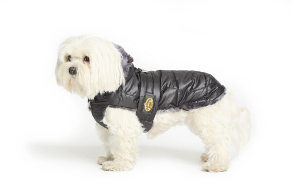 Fashion Dog - Cappotto impermeabile Cane trapuntato completamente foderato in eco pelliccia con cappuccio removibile <br> Art. 118