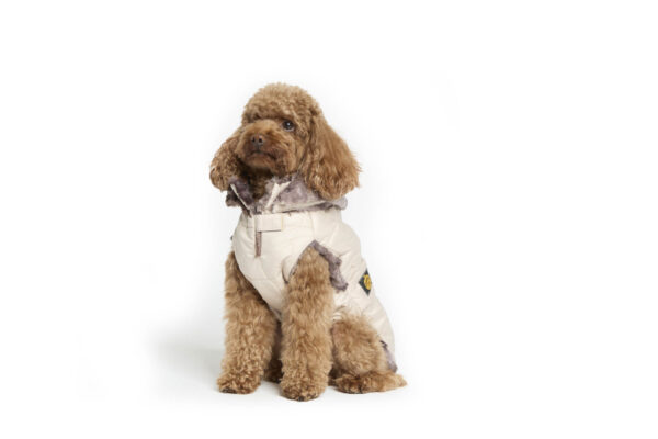 Fashion Dog - Cappotto impermeabile Cane trapuntato completamente foderato in eco pelliccia con cappuccio removibile <br> Art. 118 - immagine 2