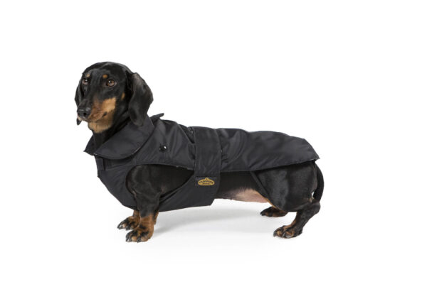 Fashion Dog - Cappotto impermeabile per Bassotto con imbottitura staccabile <br> Art. 139 - immagine 2