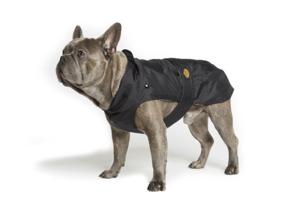 Fashion Dog - Cappotto impermeabile per Bulldog Francese e Carlino con imbottitura staccabile <br> Art. 150