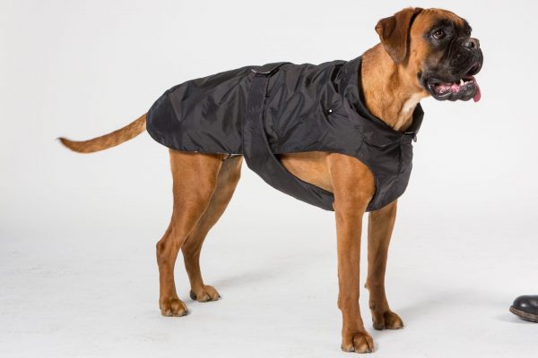 Cappotto impermeabile per Boxer con imbottitura staccabile - Fashion Dog - Art.170<br>Colore NERO<br>Taglia 60