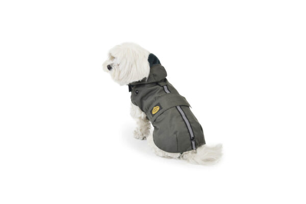 Fashion Dog - Cappotto impermeabile Cane con cappuccio e imbottitura in ecopelliccia staccabile <br>Art. 242 - immagine 2