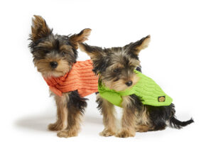 Fashion Dog - Maglione Cane misto lana Merino   Art. 303 Fluo