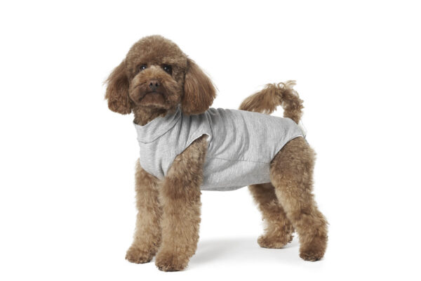 Fashion Dog - Body Cura Pets foderato in tessuto ipoallegenico ed ecologico - pancia coperta <br> Art. 800