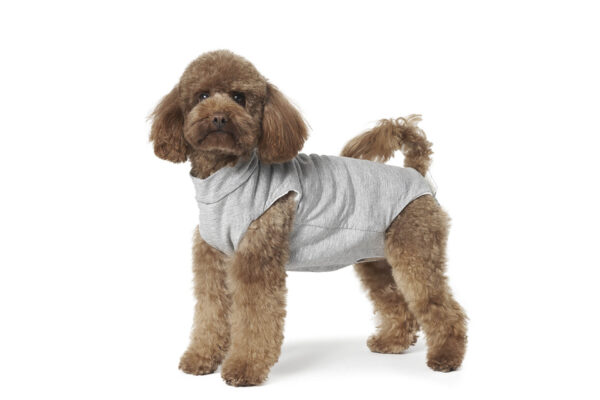 Fashion Dog - Body Cura Pets foderato in tessuto ipoallergenico ed ecologico - pancia scoperta <br> Art. 801