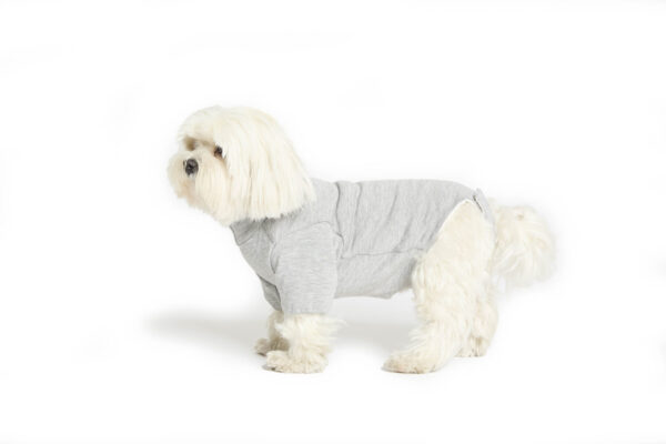 Fashion Dog - Body Cura Pets foderato in tessuto ipoallergenico ed ecologico con protezione zampe anteriori - pancia coperta <br> Art. 802