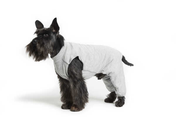Fashion Dog - Body Cura Pets foderato in tessuto ipoallergenico ed ecologico con protezione zampe posteriori <br> Art. 803