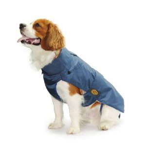 Cappotti Fashion Dog