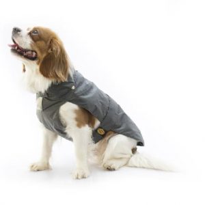 Fashion Dog - Cappotto impermeabile con imbottitura staccabile - Art. 109 Grigio - Indossato