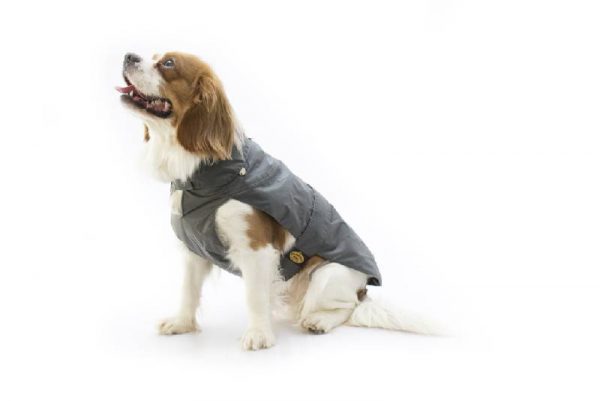 Fashion Dog - Cappotto impermeabile con imbottitura staccabile - Art. 109 Grigio - Indossato