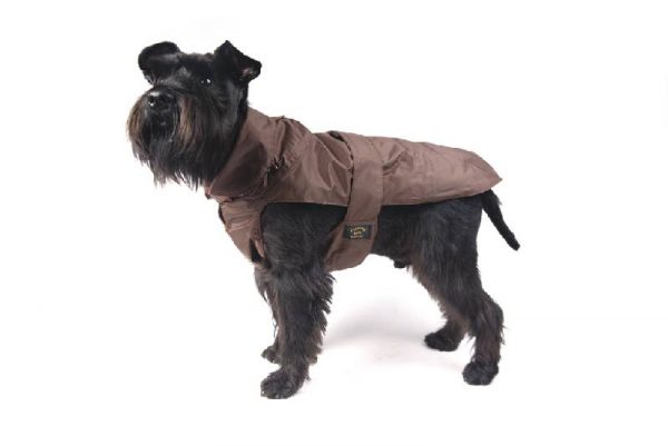 Fashion Dog - Cappotto impermeabile con imbottitura staccabile - Art. 109 Marrone - Indossato