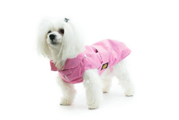 Fashion Dog - Cappotto impermeabile con imbottitura staccabile - Art. 109 Rosa - Indossato (1)