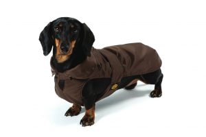 Fashion Dog - Cappotto impermeabile per Bassotto con imbottitura staccabile   Art. 139