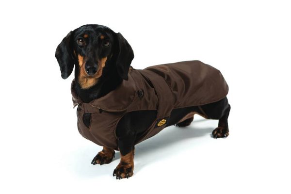 Fashion Dog - Cappotto impermeabile con imbottitura staccabile - Art.139 Marrone