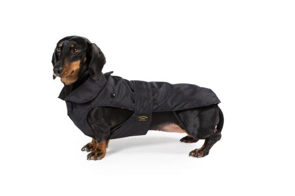 Fashion Dog - Cappotto impermeabile con imbottitura staccabile - Art.139 Nero