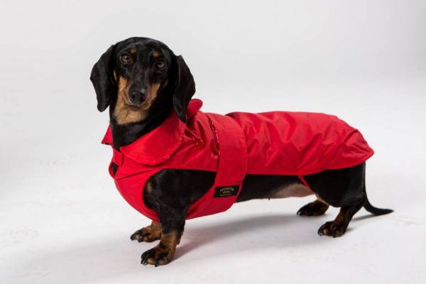 Fashion Dog - Cappotto impermeabile con imbottitura staccabile - Art.139 Rosso