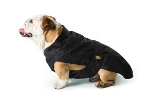 Fashion Dog – Cappotto impermeabile per Bulldog con imbottitura staccabile – Art. 160
