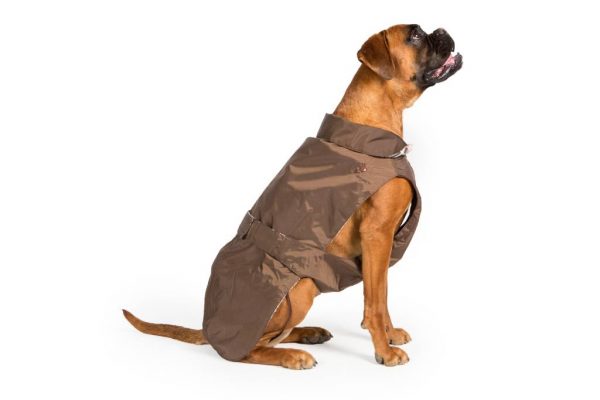 Fashion Dog - Cappotto impermeabile con imbottitura staccabile - Art.170 Marrone