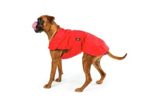 Fashion Dog - Cappotto impermeabile per Boxer con imbottitura staccabile   Art. 170