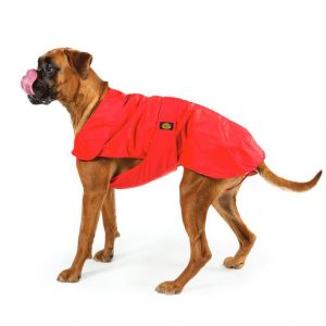 Fashion Dog - Cappotto impermeabile con imbottitura staccabile - Art.170 Rosso