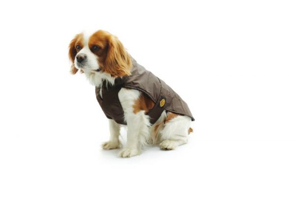 Fashion Dog - Cappotto impermeabile foderato in pile - Art.110 Marrone - Indossato