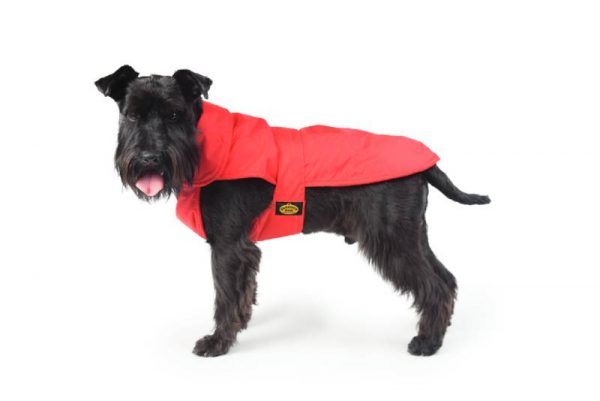 Fashion Dog - Cappotto impermeabile foderato in pile - Art.110 Rosso - Indossato