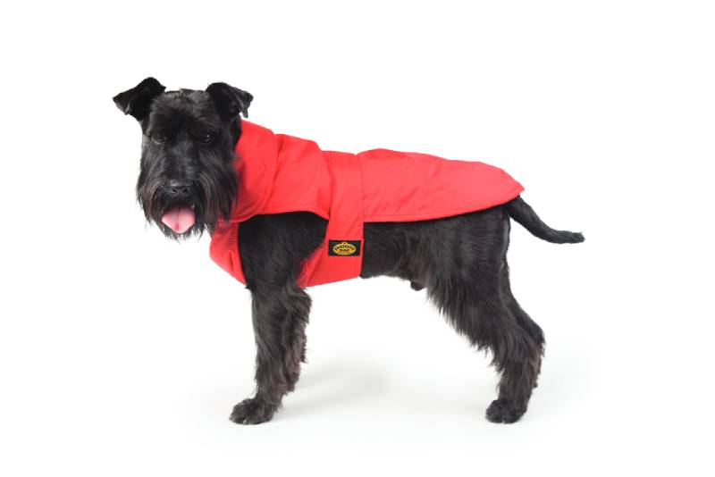 Impermeabile foderato Scooby rosso- cappottino per cane