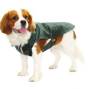Fashion Dog - Cappotto in tela cerata impermeabile foderato in tartan - Art.112 Verde - Indossato