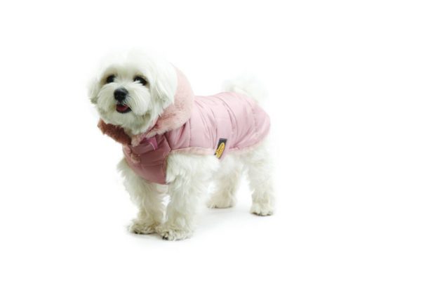 Fashion Dog - Cappotto trapuntato con cappuccio rimovibile completamente foderato in eco pelliccia Indossato - Art.130 Rosa