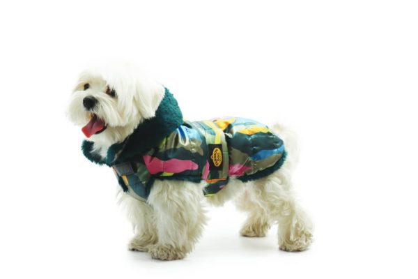 Fashion Dog - Cappotto trapuntato con cappuccio rimovibile completamente foderato in eco pelliccia Indossato - Art.131