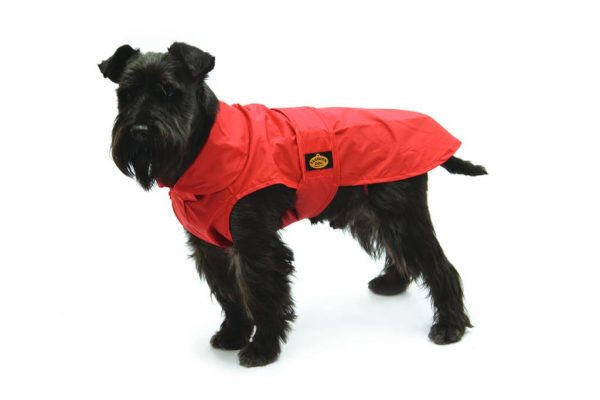 Fashion Dog - Impermeabile in nylon a doppio strato - Art. 108 Rosso - Indossato (1)