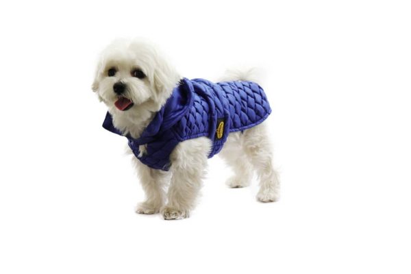 Fashion Dog - Impermeabile trapuntato con cappuccio rimovibile - Art.275 Blu