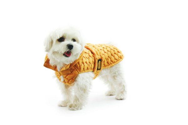 Fashion Dog - Impermeabile trapuntato con cappuccio rimovibile - Art.275 Giallo