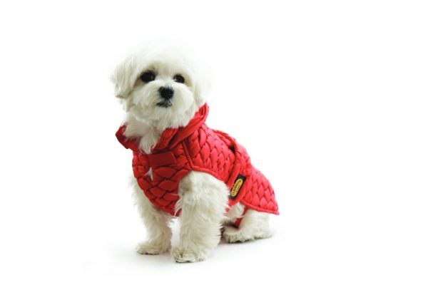 Fashion Dog - Impermeabile trapuntato con cappuccio rimovibile - Art.275 Rosso