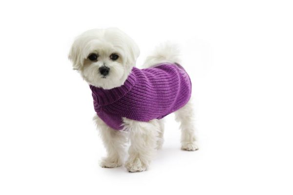 Fashion Dog - Maglione da Cane 50% lana merinos 50% acrilico Indossato 2- Art. 315 Lilla
