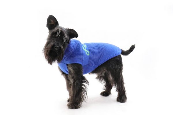 Fashion Dog - Maglione da Cane 50% lana merinos 50% acrilico Indossato - Art. 312 Blu