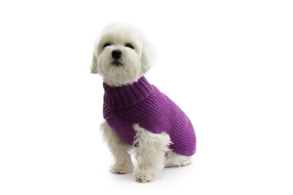 Fashion Dog - Maglione da Cane 50% lana merinos 50% acrilico Indossato - Art. 315 Lilla