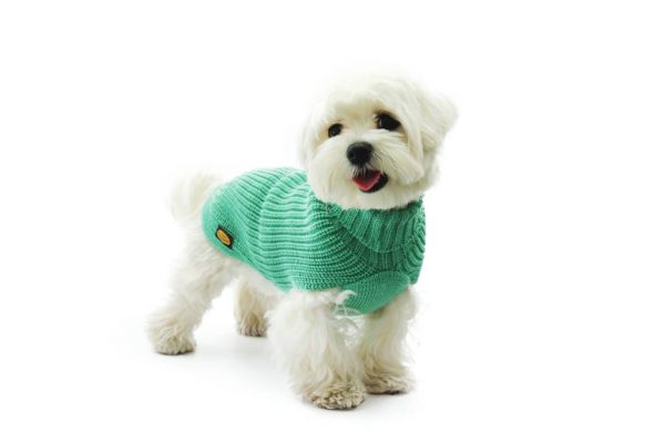 Fashion Dog - Maglione da Cane 50% lana merinos 50% acrilico Indossato - Art. 315 Menta