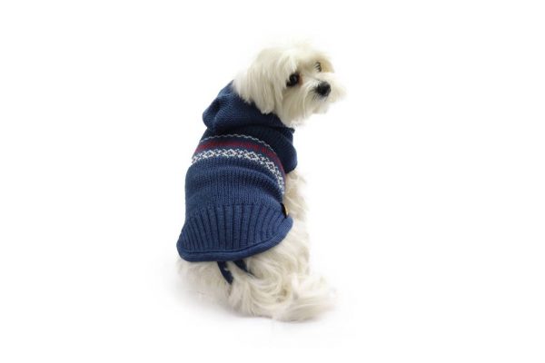 Fashion Dog - Maglione da Cane 50% lana merinos 50% acrilico con cappuccio Indossato 2 - Art. 316 Blu petrolio