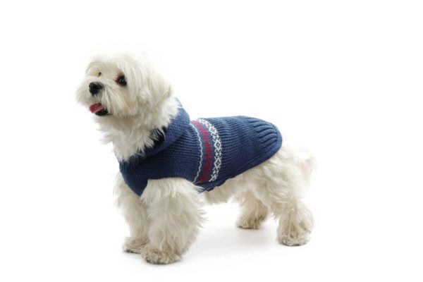 Fashion Dog - Maglione da Cane 50% lana merinos 50% acrilico con cappuccio Indossato - Art. 316 Blu petrolio
