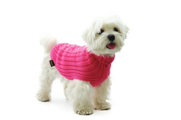 Fashion Dog - Maglione per Cane 50% lana merinos 50% acrilico Indossato- Art. 303 classic Fucsia