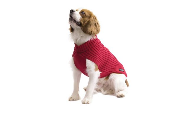 Fashion Dog - Maglione per Cane 50% lana merinos 50% acrilico Indossato- Art. 303 classic Rosso