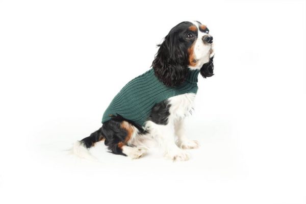 Fashion Dog - Maglione per Cane 50% lana merinos 50% acrilico Indossato- Art. 303 classic Verde