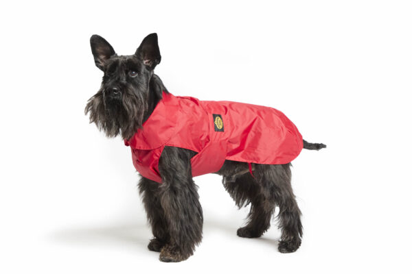 Fashion Dog - Cappotto impermeabile Cane con imbottitura staccabile <br> Art. 109