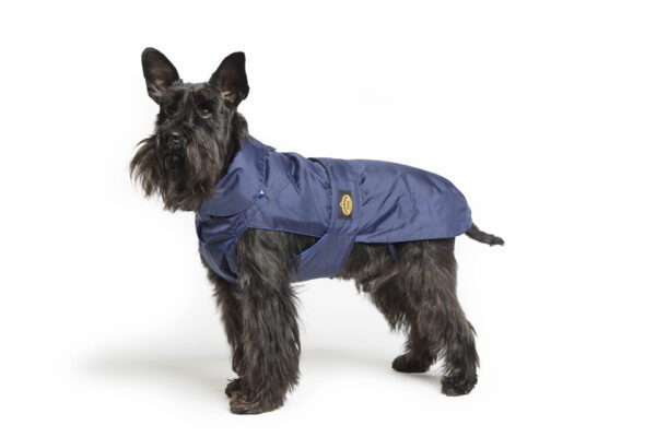 Fashion Dog - Cappotto impermeabile Cane con imbottitura staccabile <br> Art. 109 - immagine 3