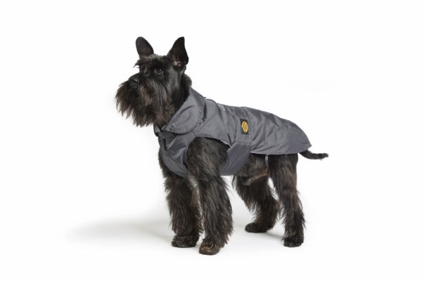 Fashion Dog - Cappotto impermeabile Cane con imbottitura staccabile <br> Art. 109 - immagine 4
