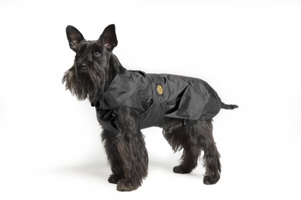 Fashion Dog - Cappotto impermeabile Cane con imbottitura staccabile <br> Art. 109 - immagine 5