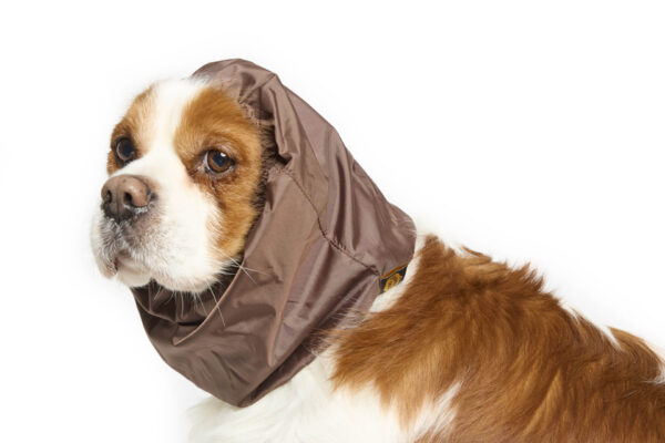 Fashion Dog - Paraorecchie Cane impermeabile <br> Art. 190 - immagine 3