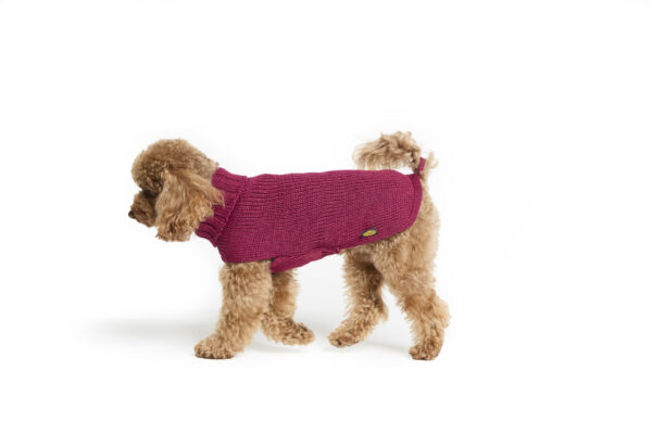 Fashion Dog - Maglione Cane 50% lana merinos 50% acrilico <br> Art. 307